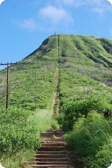 Koko Trail